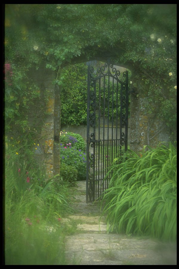 708080 Walled Garden A4 Photo Print