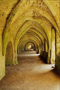 708094 The Cloisters, Fountains Abbey, North Yorkshire, U.K. A4 Photo Print