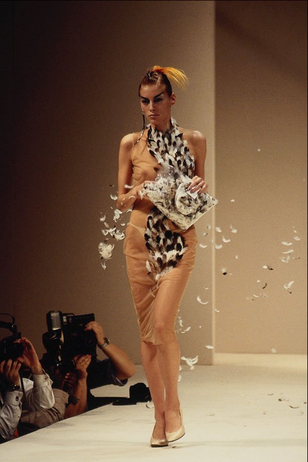 709011 Alexander McQueen, Feather And Lace Dress A4 Photo Print