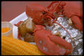 710001 Lobster With Drawn Butter, Potato And Corn At Clambake, Maine, U.S.A. A4 Photo Print