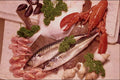 710004 Fish, Mackerel, Plaice, Prawns, Mussels And Lobster A4 Photo Print