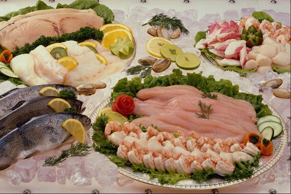 710056 Styled Platters Of Fish On A Bed Of Ice A4 Photo Print
