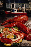 710070 Fresh Atlantic Lobster Dinner On The Fishing Wharf A4 Photo Print