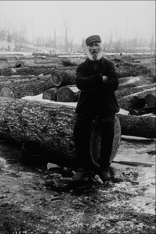 713041 The Logger A4 Photo Print