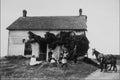 713043 Homestead A4 Photo Print