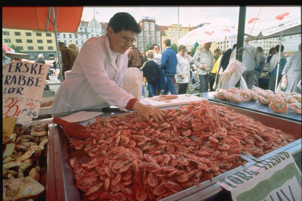 714012 Fish Market, Bergen, Norway A4 Photo Print