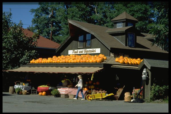 714016 Fall Produce, Mahone Bay, Nova Scotia, Canada A4 Photo Print