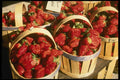 714042 Provence Bedoin Market A4 Photo Print