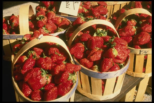 714042 Provence Bedoin Market A4 Photo Print
