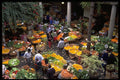 714057 Market, Funchal, Portugal A4 Photo Print