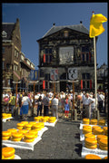 714059 Cheese Market On The Markt , Netherlands A4 Photo Print