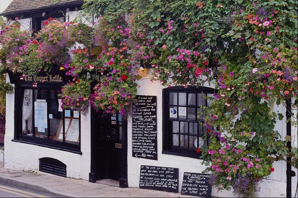 714079 Rye A4 Photo Print