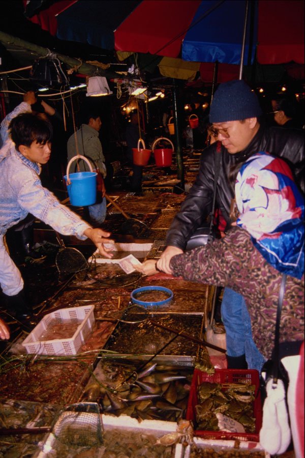 714083 Fish Market On Outer Hong Kong Island A4 Photo Print