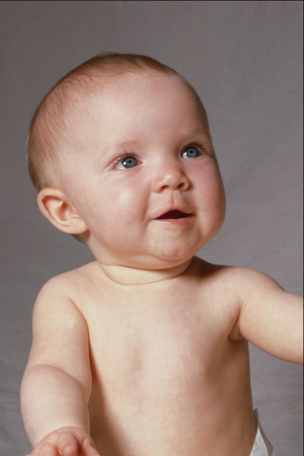 716021 Portrait Of A Baby A4 Photo Print