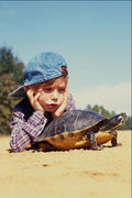 716039 Boy Watching Tortoise A4 Photo Print