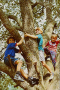 716042 Children In A Tree A4 Photo Print