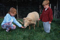 716055 Down At The Farm A4 Photo Print