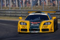 717060 No. 29, McLaren F1 GTR A4 Photo Print