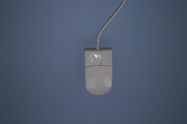 719019 Computer Mouse A4 Photo Print