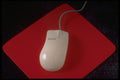 719023 Mouse A4 Photo Print