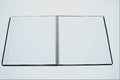 719060 Accounting Ledger A4 Photo Print