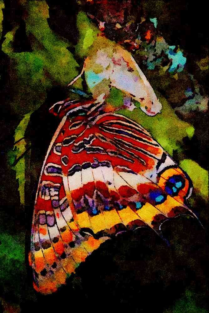 720019 Two tailed Pascha, Charaxes Jasius, Provence, France A4 Limited Edition Watercolour Print