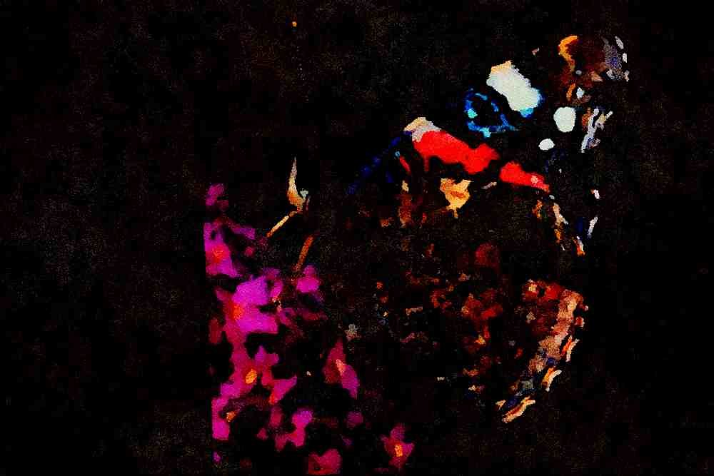 720021 Red Admiral Butterfly, Claygate, Surrey, England A4 Limited Edition Watercolour Print