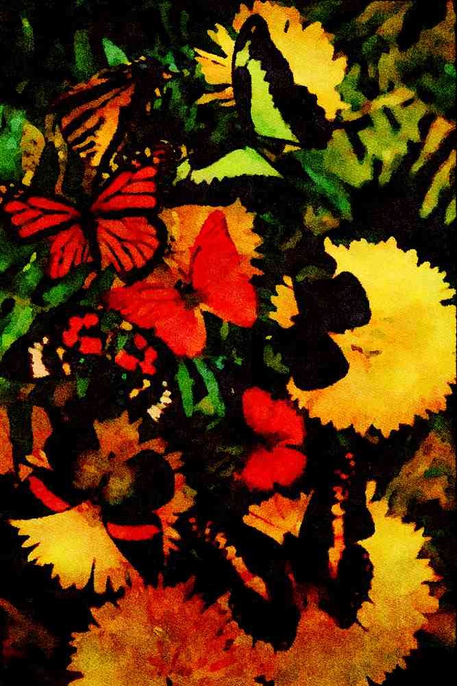 720052 Butterflies On Chrysanthamums A4 Limited Edition Watercolour Print