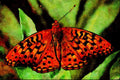 720063 Aphrodite On Green Leaves A4 Limited Edition Watercolour Print