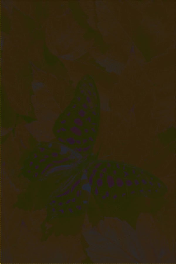 720070 Yellow spotted Butterfly On Red Autumn Leaves A4 Photo Print