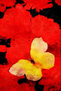 720071 Yellow Sulphur On Red Autumn Leaves A4 Limited Edition Watercolour Print