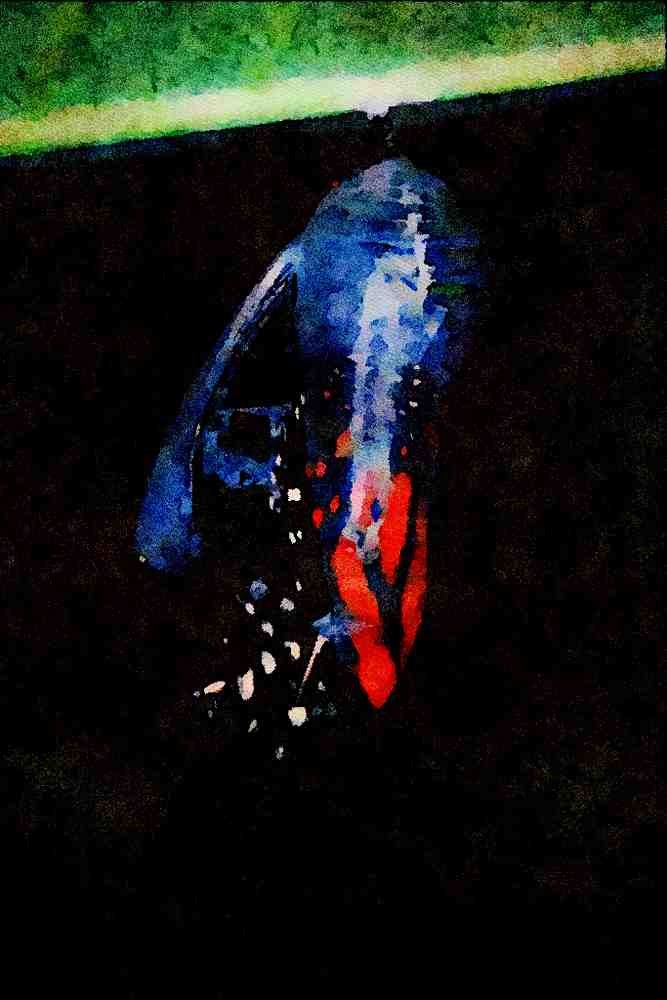 720072 Monarch Butterfly Emerging A4 Limited Edition Watercolour Print