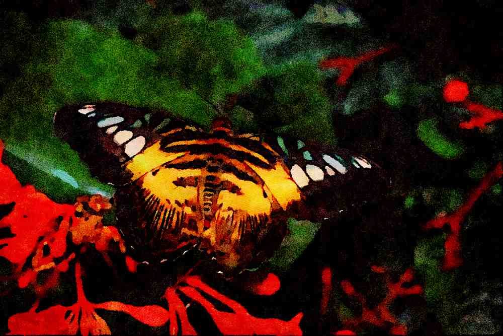 720075 Blue And Yellow Triangle, Graphium Sp., Southeast Asia A4 Limited Edition Watercolour Print