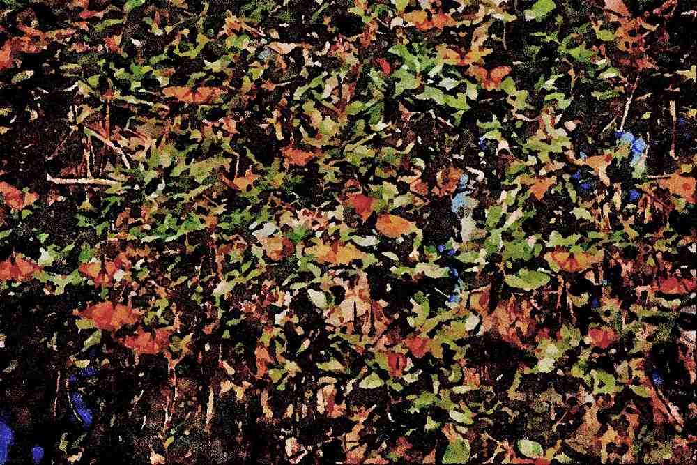 720076 Monarch Butterflies A4 Limited Edition Watercolour Print
