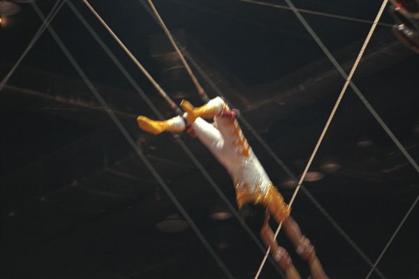 721004 High wire Troupe, Shrine Circus, New York, U.S.A. A4 Photo Print