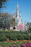 721008 A Magical Place, Theme Park A4 Photo Print