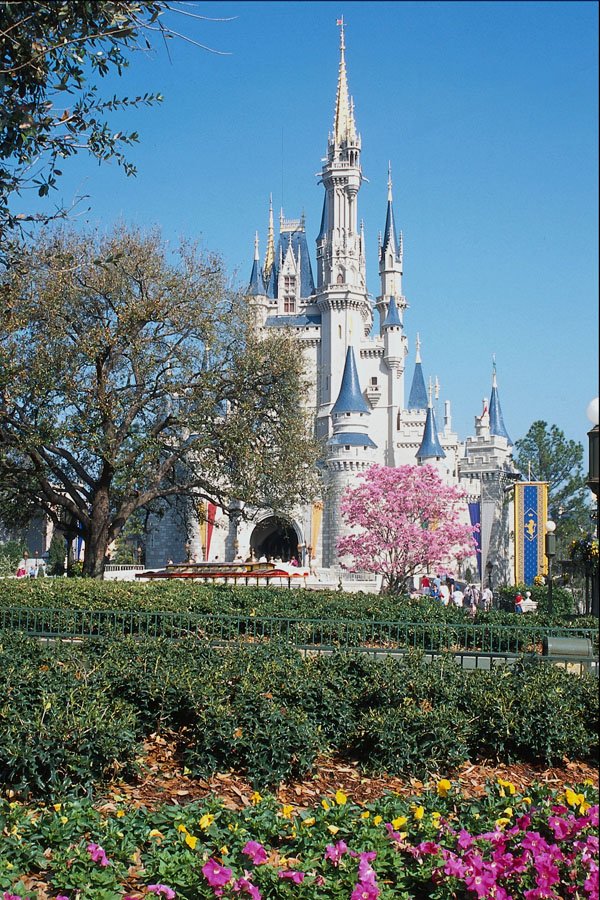 721008 A Magical Place, Theme Park A4 Photo Print