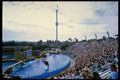 721045 Sea World, San Diego, U.S.A. A4 Photo Print