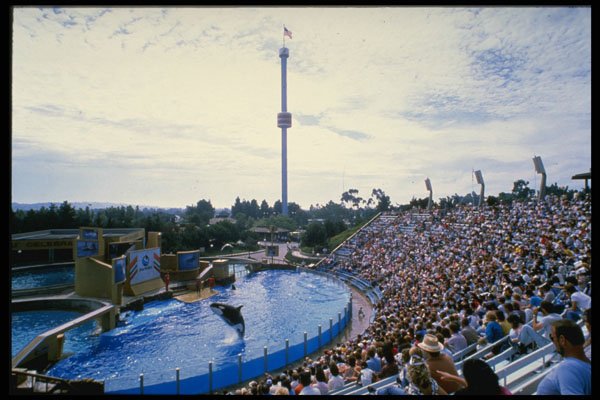 721045 Sea World, San Diego, U.S.A. A4 Photo Print