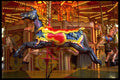 721049 Carousel Horse At The Fairground A4 Photo Print