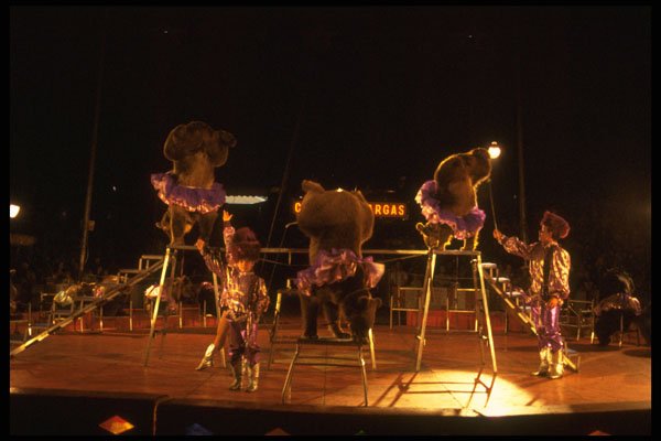721051 Circus Performers, Circus Vargas Visiting Ottawa, Canada A4 Photo Print