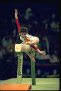 722038 Romanian Gymnast, Seoul Olympics, 1988 A4 Photo Print