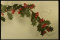 724003 Holly A4 Photo Print