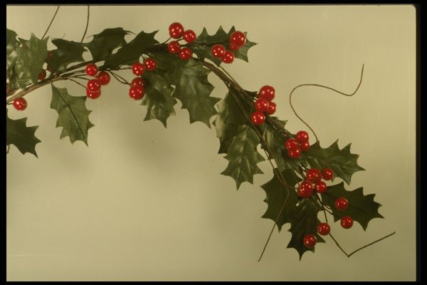 724003 Holly A4 Photo Print