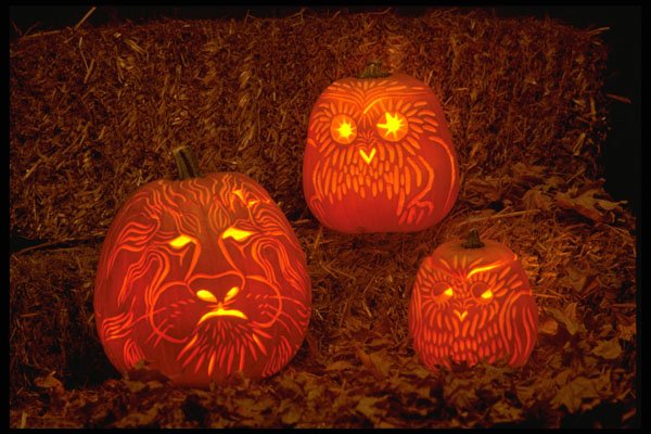 724007 Decorative Carved Pumpkins A4 Photo Print