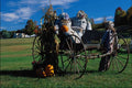 724099 Fall Display, Scarecrows A4 Photo Print