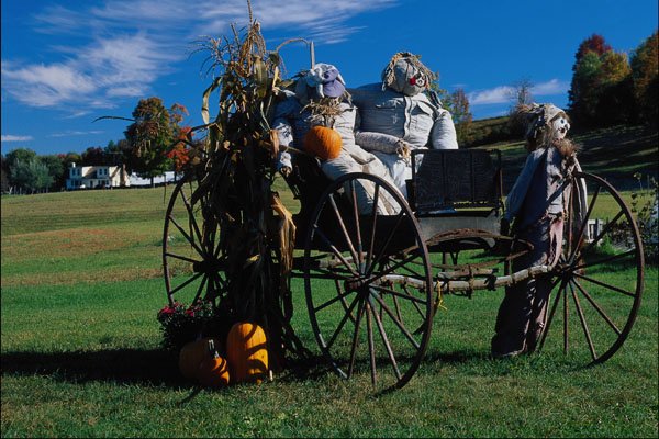 724099 Fall Display, Scarecrows A4 Photo Print
