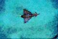 727044 Bae Eurofighter EF 2000 A4 Limited Edition Watercolour Print