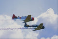 727051 Two North American Air Cadet Corps., T 6 Harvards A4 Photo Print