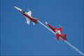 727063 Northrop F 5E, Patrouille Suisse Aircraft A4 Photo Print